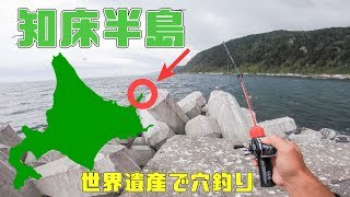 【北海道釣り旅】世界遺産・知床半島で穴釣りしたら魚影が凄かった・・・#10
