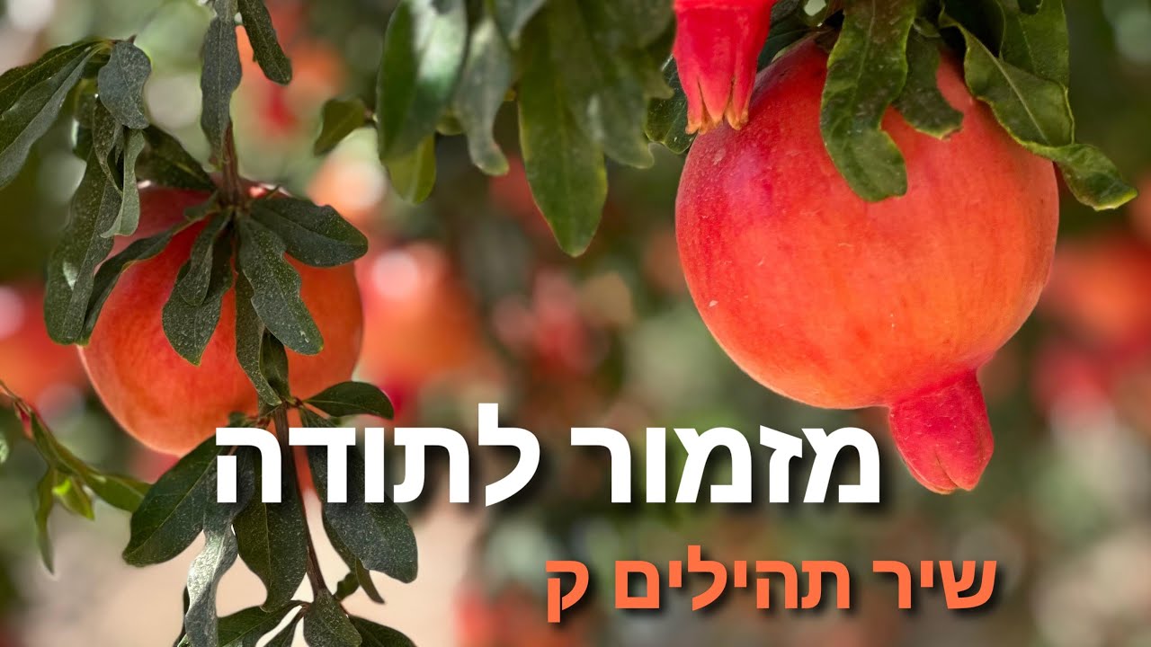 שיר תהילים ק (מזמור לתודה) הפרויקט של גולדין | מנדי שפירו. המוזיקה שבתהילים ♪