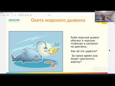 Вебинар Анатолия Гина