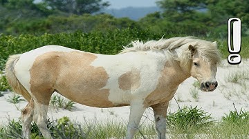 😂 Recreating Ginuwine