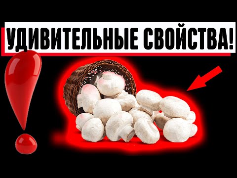 Вот ПОЧЕМУ я так люблю ШАМПИНЬОНЫ Много витаминов и микроэлементов Но ЭТО еще не все...