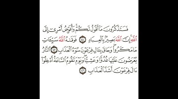سورة غافر 16 القسم السادس عشر تكرار كيفي من .. فستذكرون ما أقول لكم وأفوض أمري .. إلى .. أشد العذاب