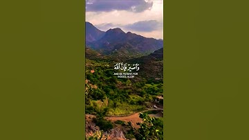 تلاوة خاشعة بصوت يريح القلب #اكسبلور #elmulquranعلم #قران_كريم #المصحف #تلاوة #trend #لايك