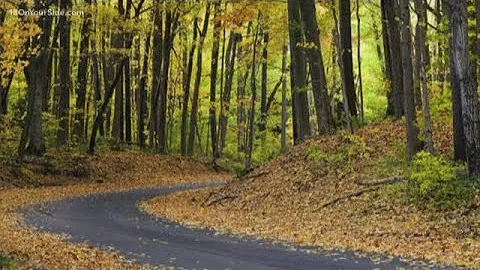 Take a tour of Michigan's fall colors