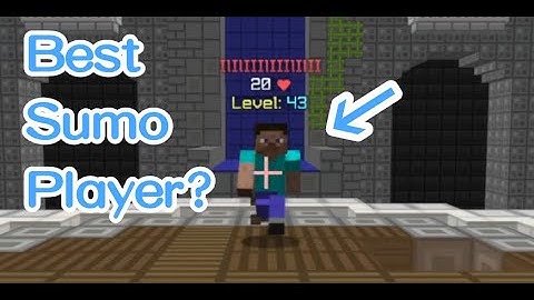 I met the best hypixel sumo player?