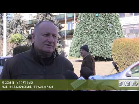 ბოლნისის ქუჩებში საახალწლო განათებები ჩაირთო