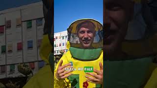 Почему пчеловоды долго живут? 🐝