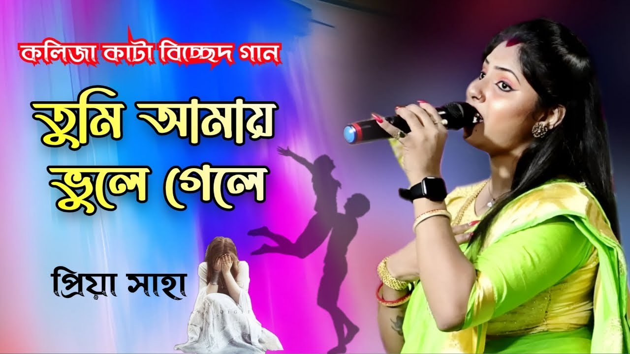      Tumi Amay Vule Gele  Priya Saha  Bangla Sad Song   