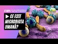 🦠 Ce Este Microbiota Umană p15. | Dr. Moroșan Sorin [2021] HERGHELIA