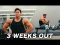 1日1日集中|3 WEEKS TO OLYMPIA | BACK & ARMS