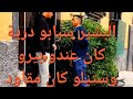 البشير سبابو درية كان عندو بيرو وستيلو كان مقاود البشير سبابو درية كان عندو بيرو وستيلو كان مقاود
