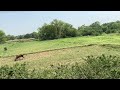 #trainjourney#naturelovers#likeandsubscribe