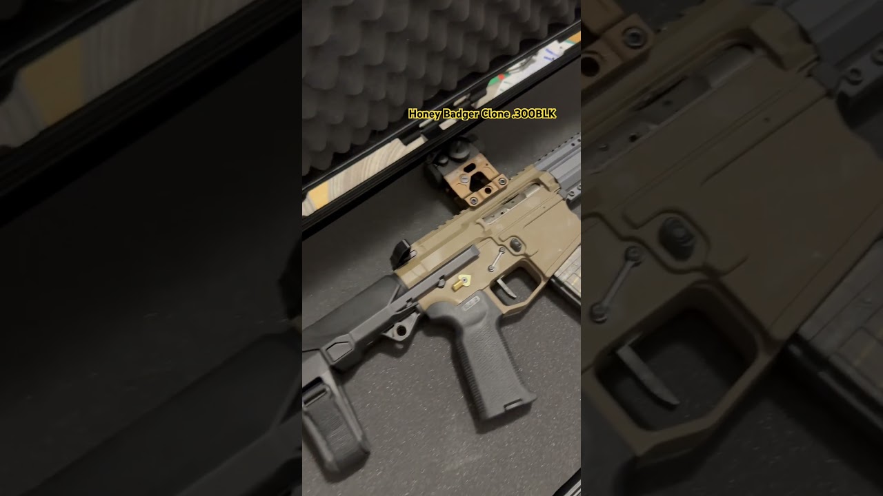 Honey Badger Clone .300 blackout rise armament trigger