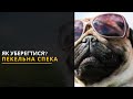 Пекельна спека у Львові як вберегтися Рекомендації лікарів Новини України та Львівщини Пекельна спека у Львові як вберегтися Рекомендації лікарів Новини України та Львівщини