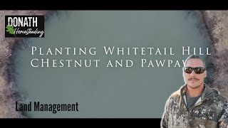 Planting Whitetail Hill Chestnuts and PawPaws on our 10 Acre | Habitat Improvement