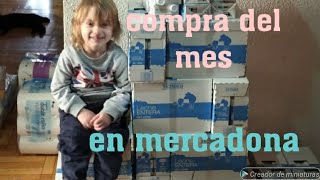 🛒compra mensual mercadona