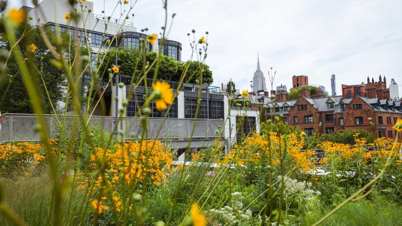 Nature in the City | The High Line