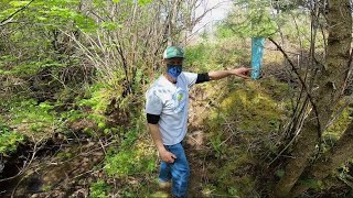 Creating a better habitat