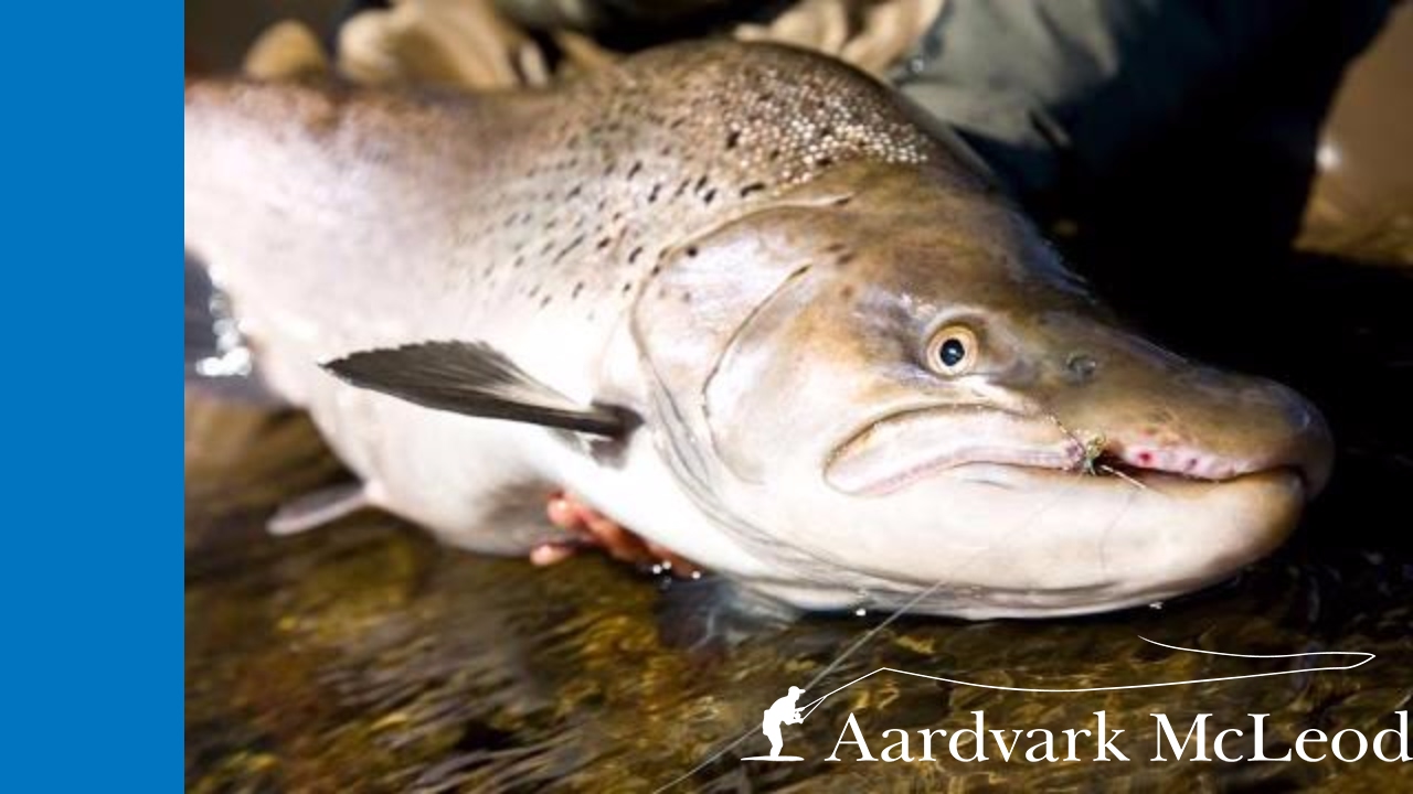 Fishing Rio Irigoyen River, TDF Argentina; what tackle and gear to bring
