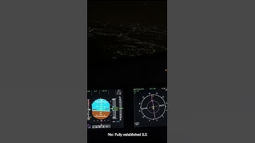 #VATSIM #Frankfurt #Lufthansa  140 - Report Established #Shorts