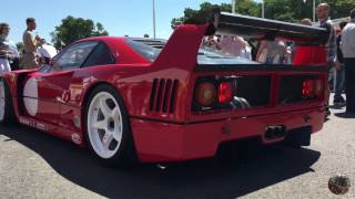 Ferrari f40 lm at goodwood fos 2017