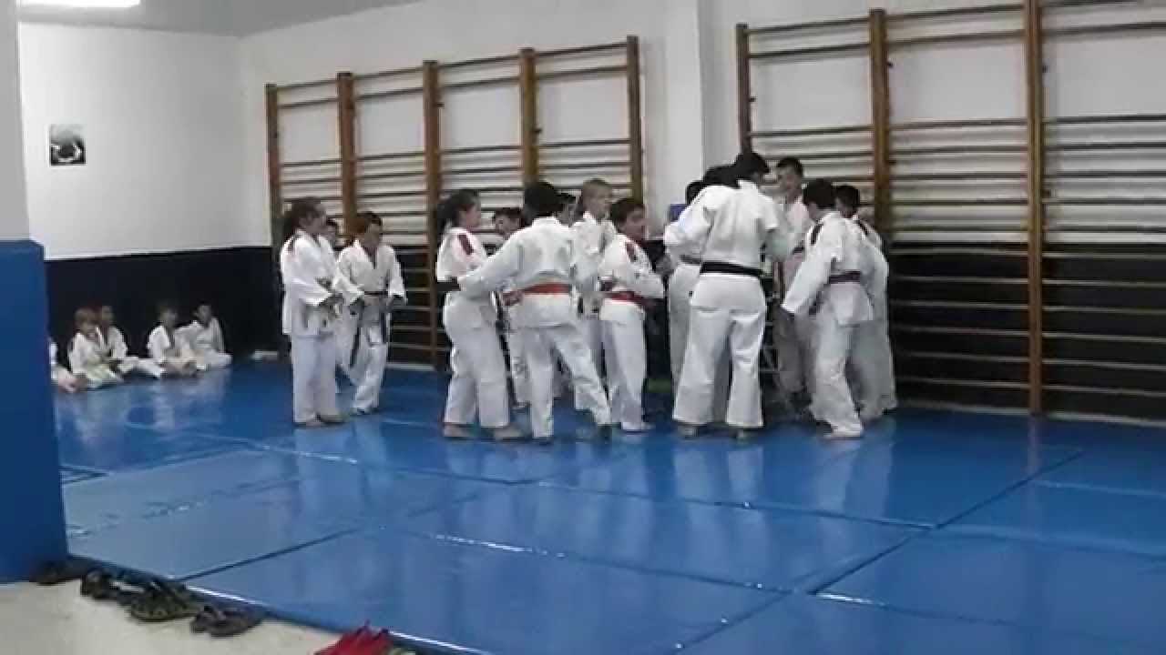 Calentamiento en la exhibición de Judo camera iphone 8 plus apk