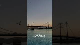 راشد الماجد | آمالنا بالله screenshot 4