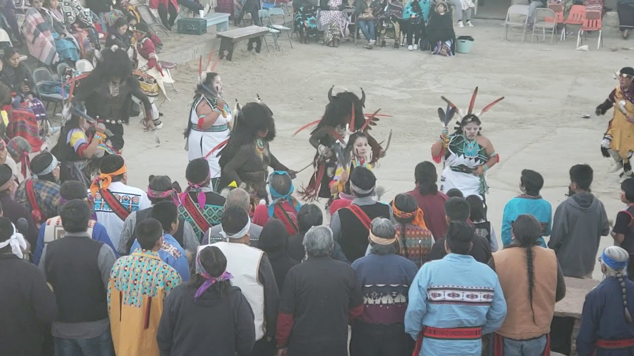 Sipaulovi Hopi Buffalos 2019