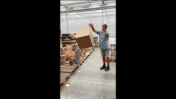 Real-World Test: Buffer Box Performance at a Customer Site