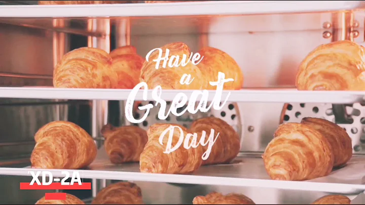 YXD Convection Oven -YXD-2AD