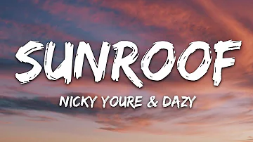 Nicky Youre, dazy - Sunroof (Lyrics)