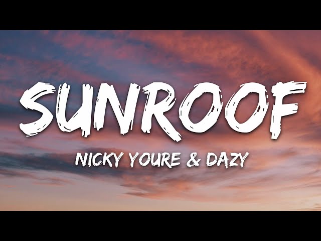Nicky Youre, dazy - Sunroof (Lyrics) class=