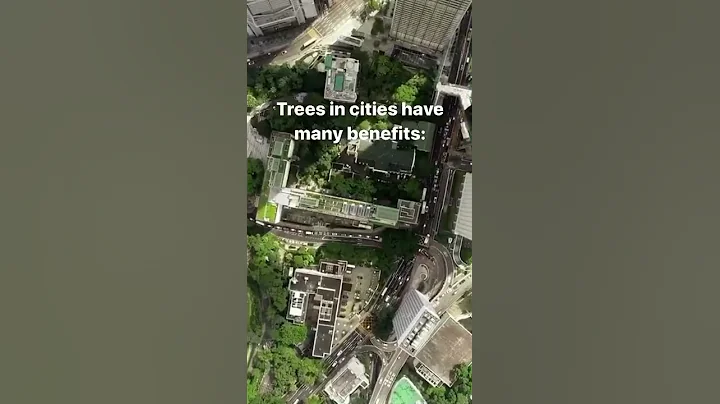 Why We Need Urban Trees - DayDayNews