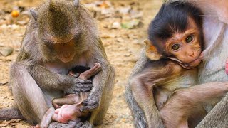 beautiful, Mamo and she very care