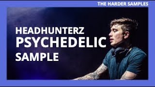 Where does the sample come from Headhunterz - Psychedelic