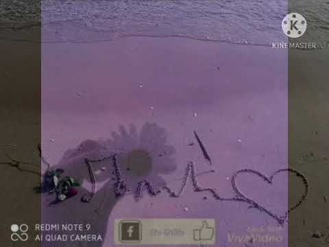 هالورد المشتاق شمه