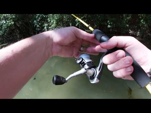 Crescent Bend sun fish! Zebco33