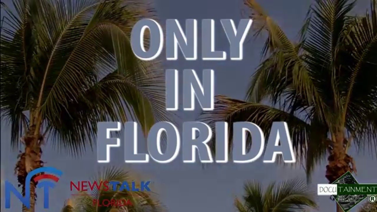 politics today Only In Florida: Flagler Couple Caught Having Sex