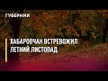 Хабаровчан встревожил летний листопад. Новости. 15/06/2021