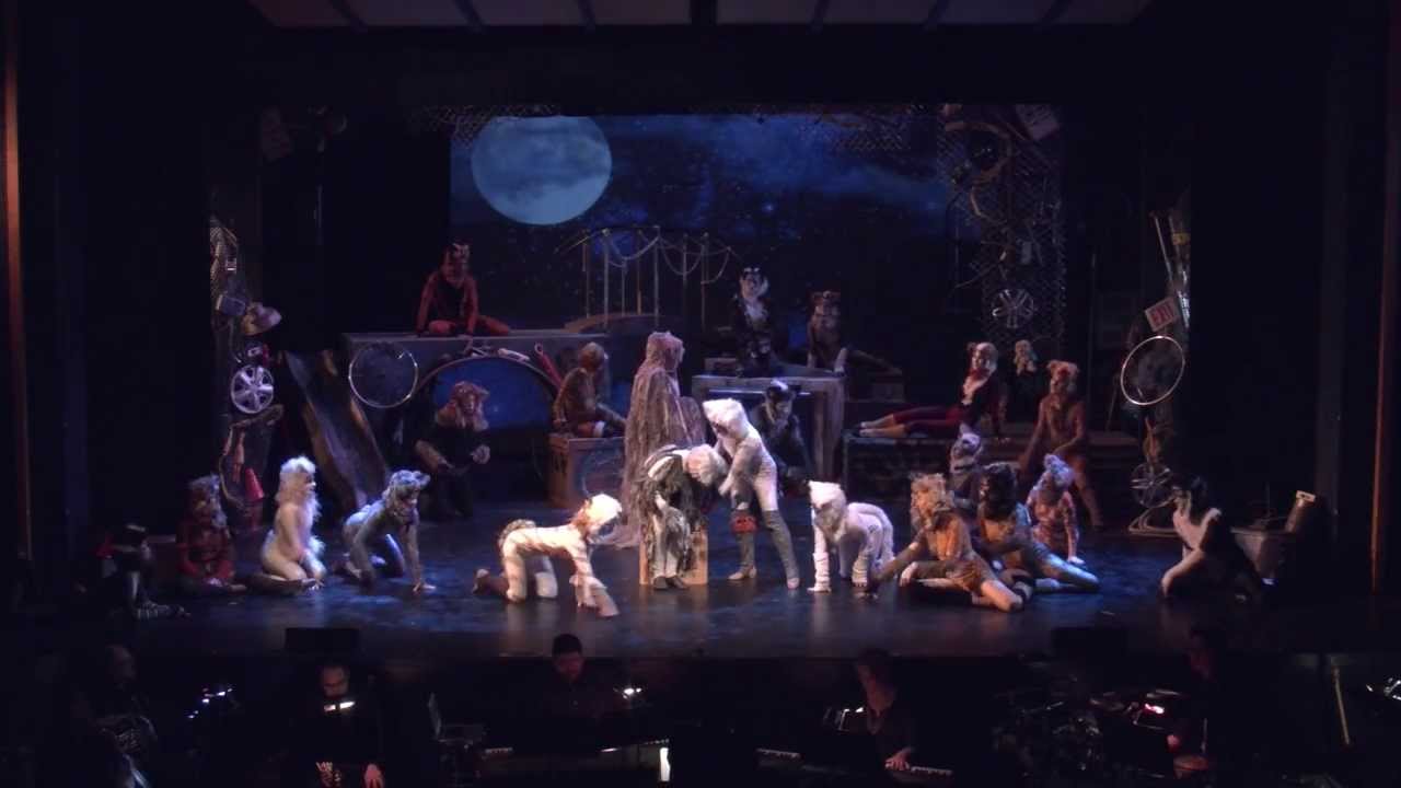 Highland Park Players "CATS" Moments of Happiness