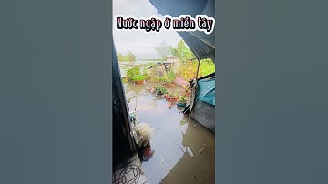 Cảnh nước ngập nhà ở miền tây | khoa vlogs | cuộc sống đồng quê #vlogs #khoavlogs #shorts