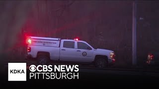 Pedestrian killed in hit-and-run vehicle crash