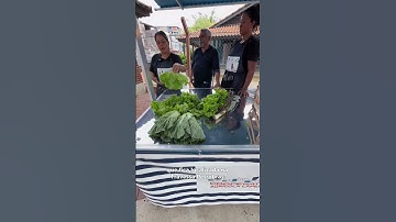 Feira Orgânica do Jardim Lapena | Galpão ZL