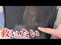 【ご報告】ハッピーさんの体調に重大なことが発覚しました。