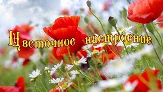 ✿Цветочное настроение✿Хорошего дня!