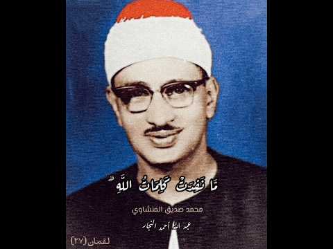 ولو أن ما في الأرض من شجرة أقلام الشيخ المنشاوي