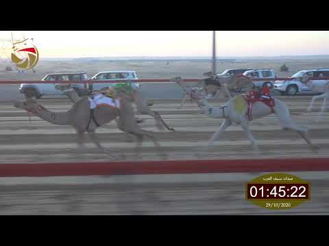 سباق الحقاقة سيف العرب 29 10 2020 ش1 الياسات ل قطامي محمد ثاني بن قطامي السويدي 4 33
