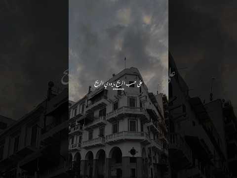 على حسب الريح خالد الصيفي عبدالحليم حافظ على حسب وداد العندليب زمن الفن الجميل