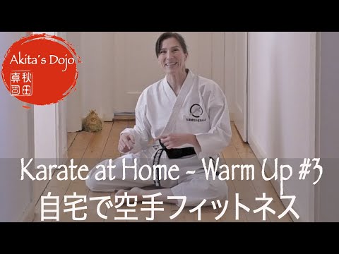 空手 入門 DVD セット 自宅学習 練習 稽古 ダイエット 空手 入門 DVD セット 自宅学習 練習 稽古 ダイエット