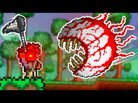 Terraria, But I Can Catch EVERYTHING...